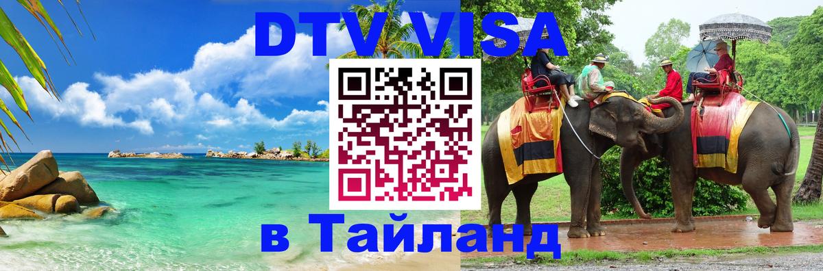 Оформление DTV визы под ключ: стоимость и тарифы, только загранпаспорт - 